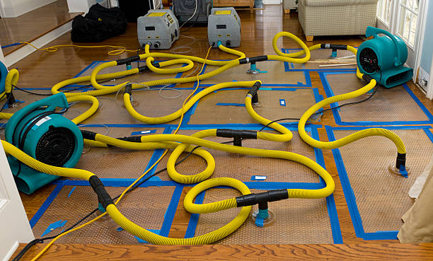 Professional Water Damage Restoration technician working in Cedar Hill, MO